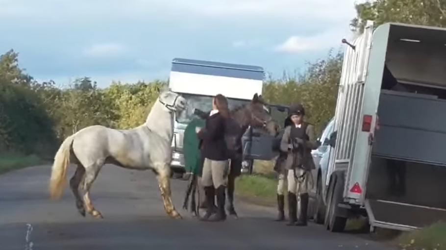 Un videoclip în care o femeie loveşte cu cruzime un cal a stârnit indignare în Marea Britanie - Facebook Hertfordshire Hunt Saboteurs