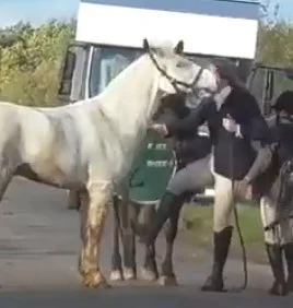Footage posted online by Hertfordshire Hunt Saboteurs of a woman lashing out at a horse has been viewed more than two million times (Photo: Hertfordshire Hunt Saboteurs)